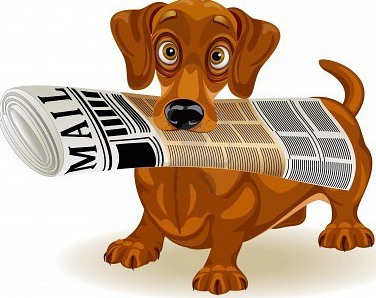 Подписка на уроки WordPress